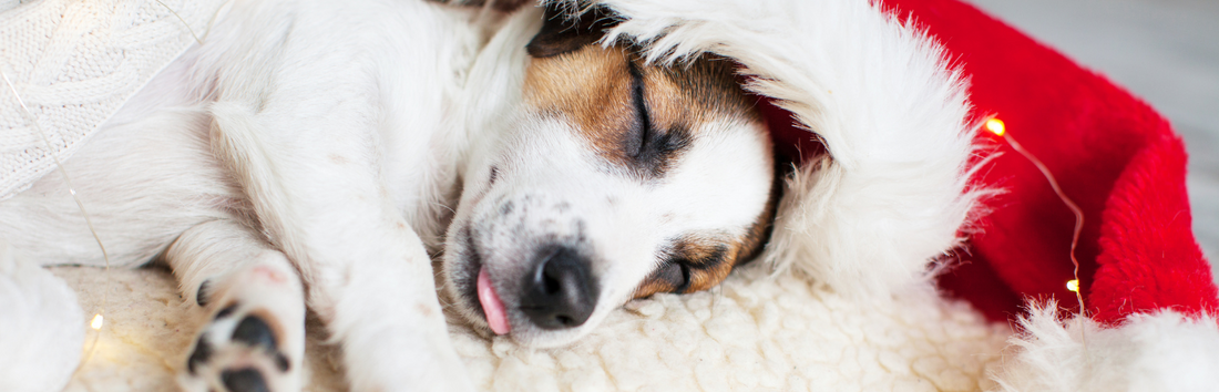 Illuminating Winter Nights: A Comprehensive Guide to Sleep Wellness