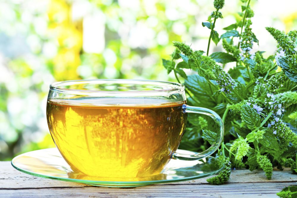 Studies Found These Natural Herbs Can Boost Memory & Mood