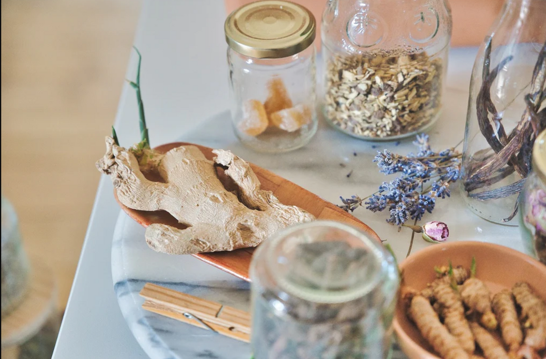 Harnessing the Healing Properties of Adaptogens: Balancing Stress and Boosting Brain Function