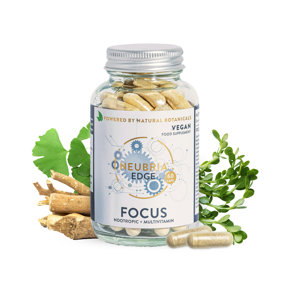 Edge Focus Supplement