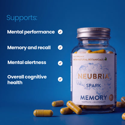 Spark - Memory Supplement