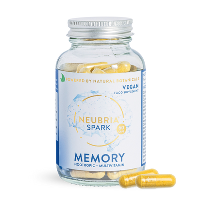 Spark - Memory Supplement